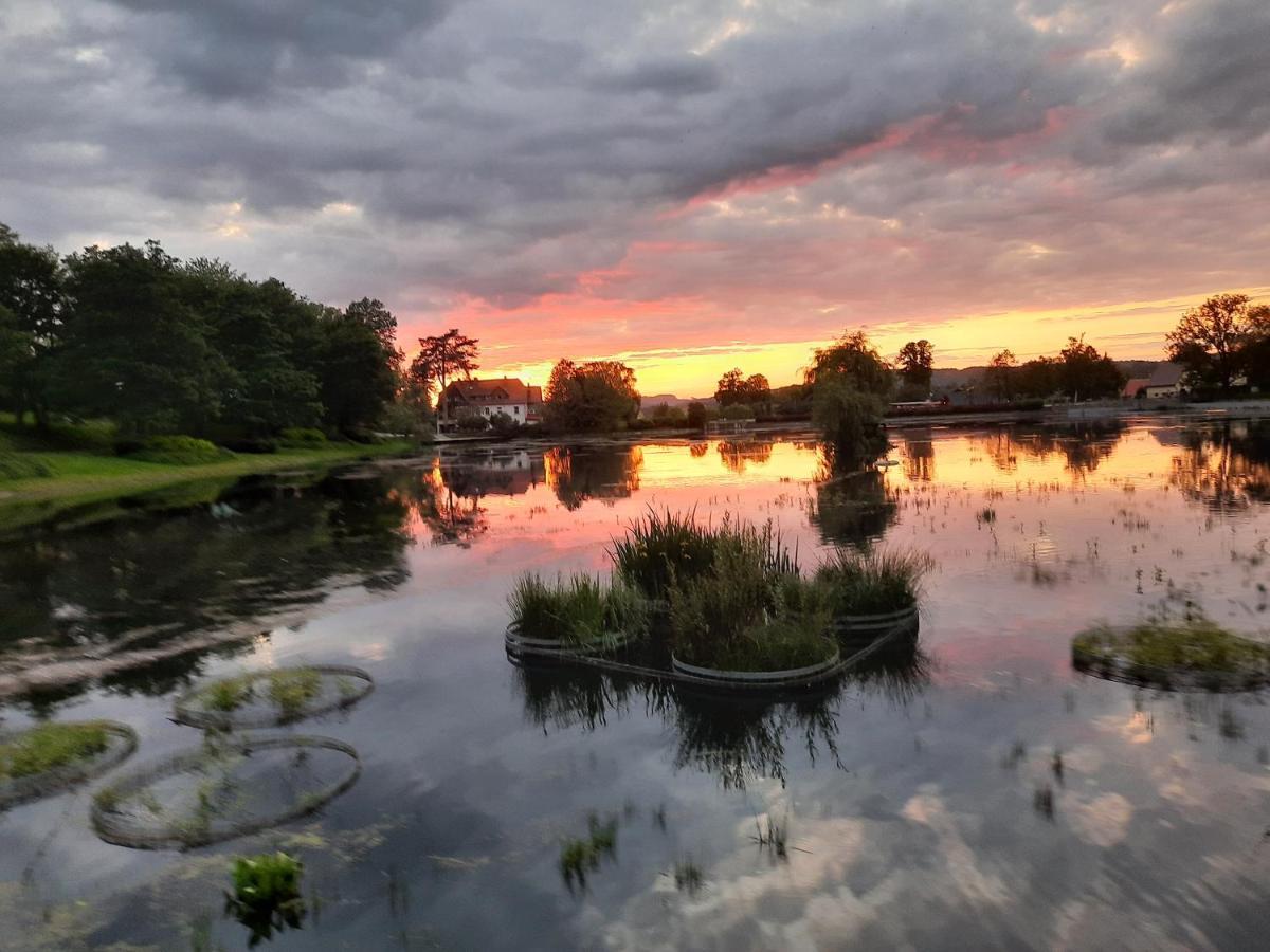 Nectar Pond Apartment