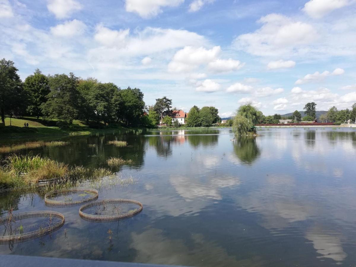 Nectar Pond Apartment *